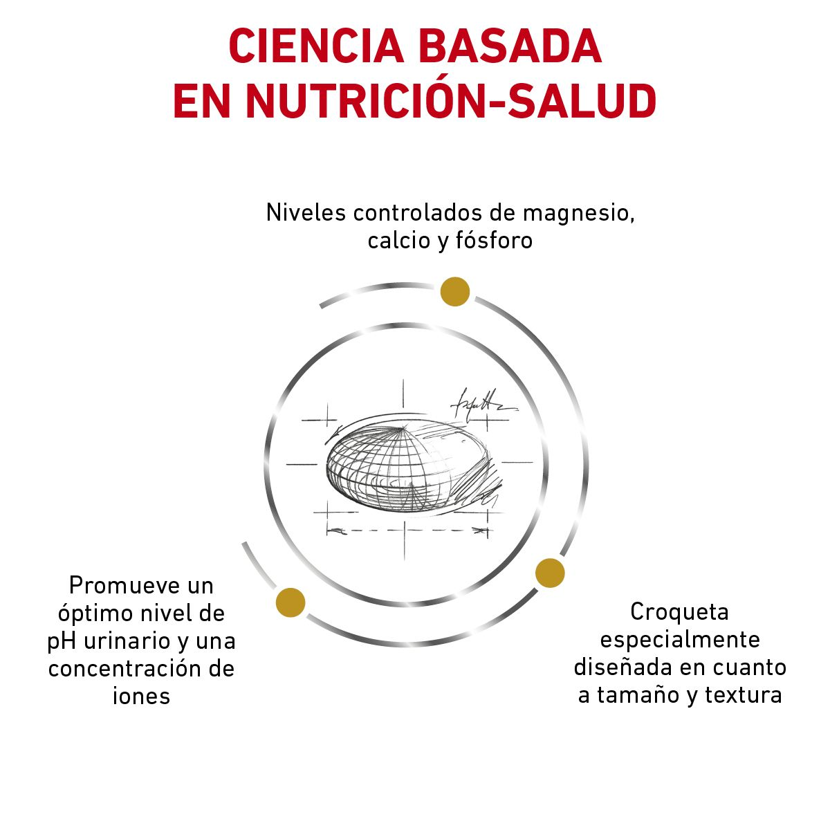 Urinary SO Small Dog