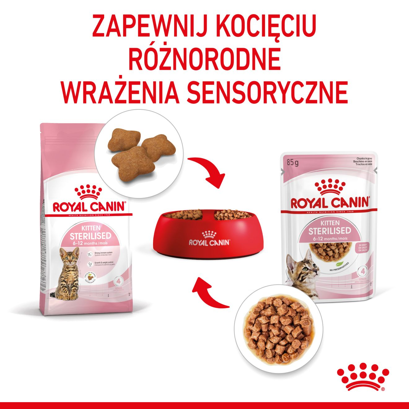 ROYAL CANIN Kitten Sterilised karma mokra w sosie dla kociąt do 12 miesiąca życia, sterylizowanych