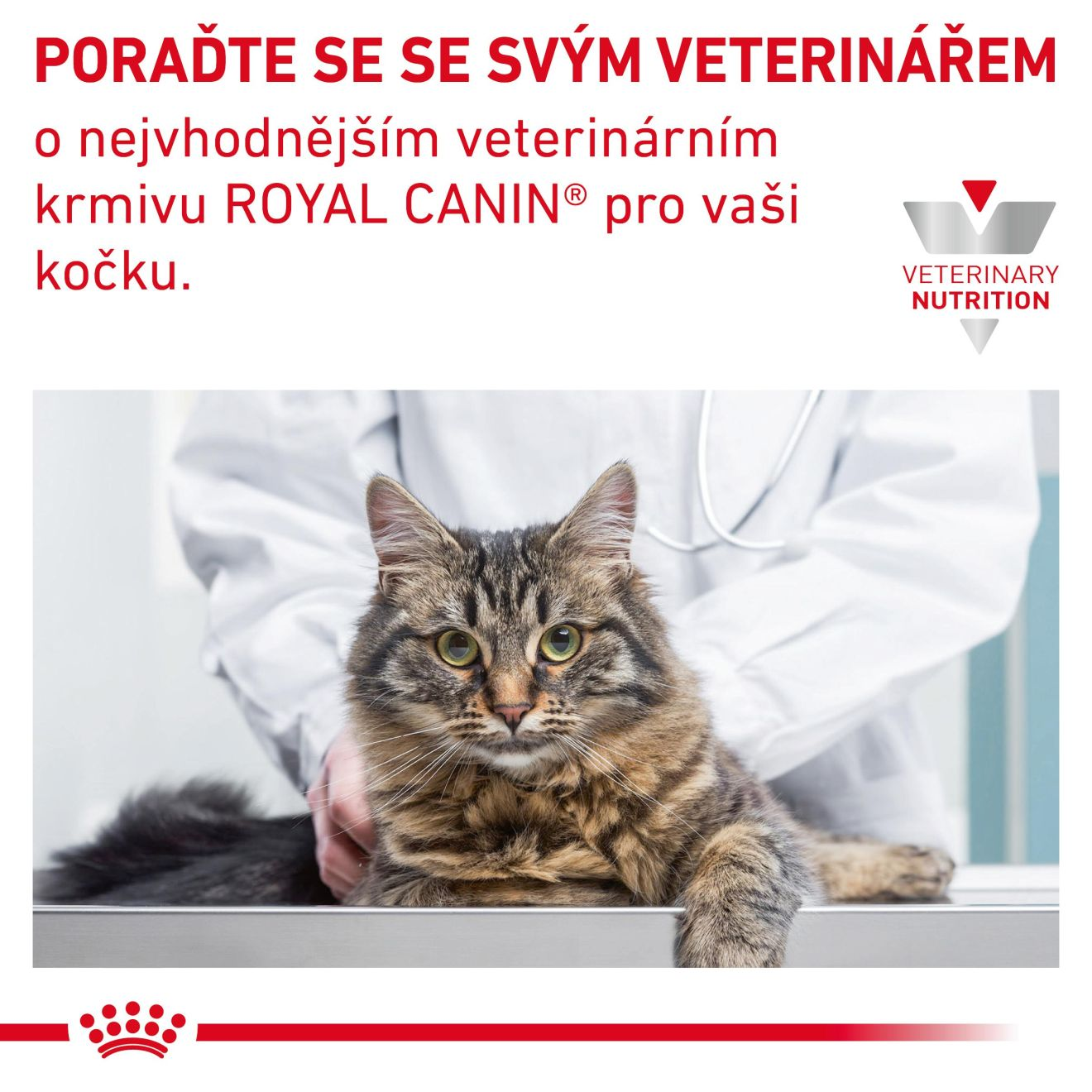 VHN Cat Skin & Coat Kapsičky 