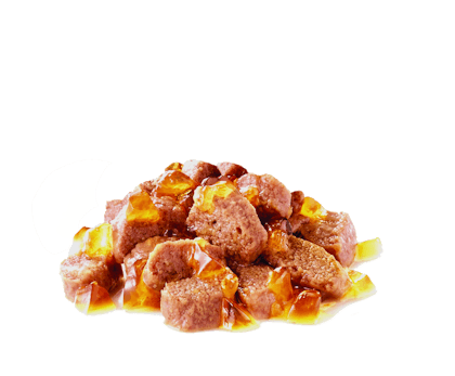 Instinctive Jelly Basah - Royal Canin