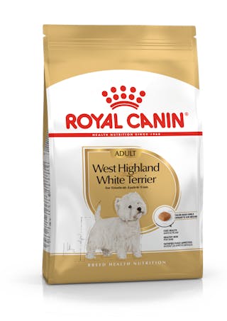 Wet & Dry Dog Food Retail Range | Royal Canin