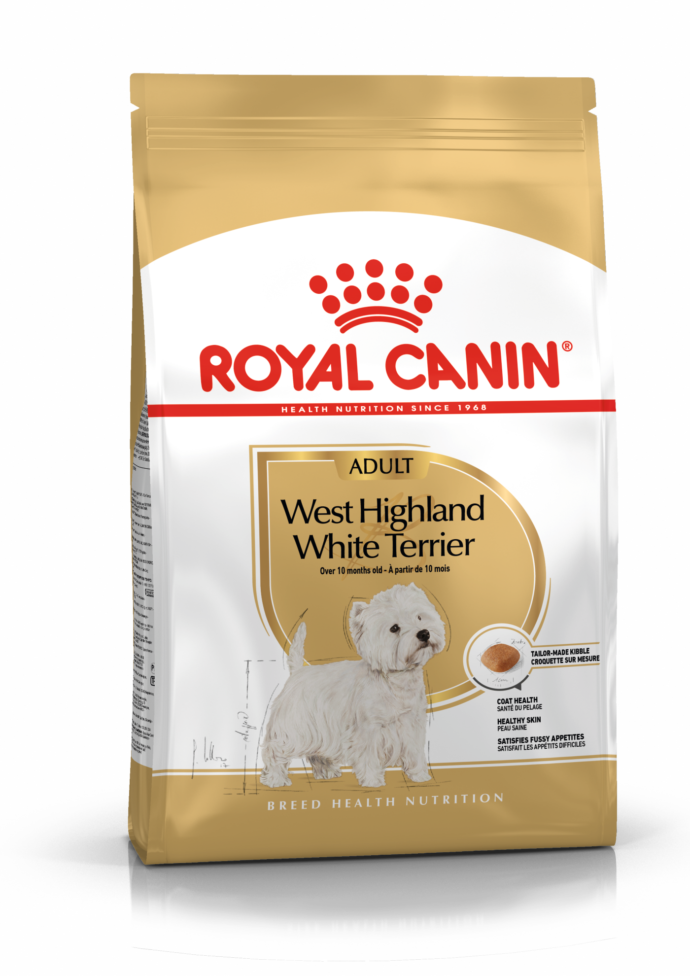 West Highland White Terrier Adulto