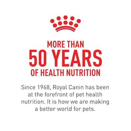 Secondary Image_RoyalCanin50.jpg