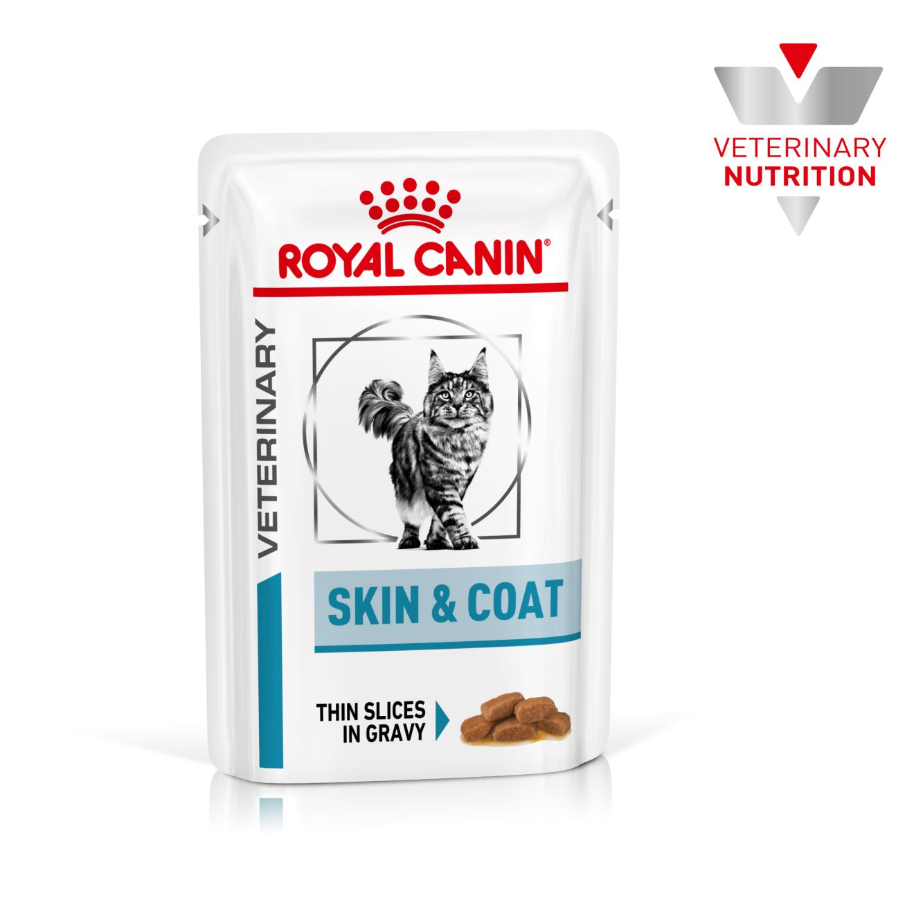 Royal Canin Skin & Coat Cat konserv (õhukesed viilud kastmes)