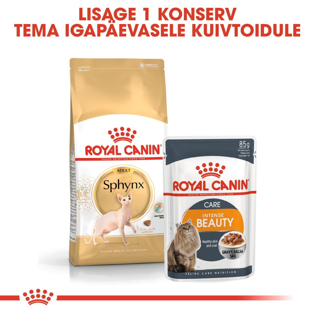 Royal Canin Sphynx Adult kuivtoit