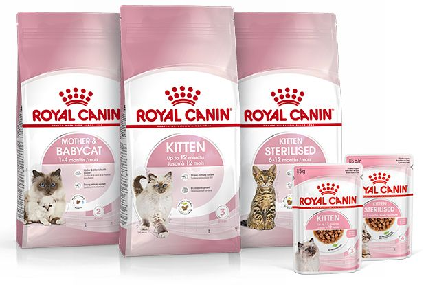 Packshots van Royal Canin kittenvoer