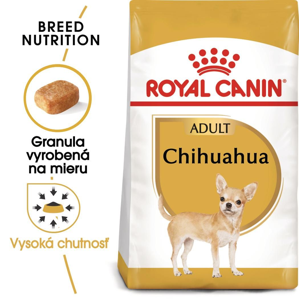 CHIHUAHUA Adult