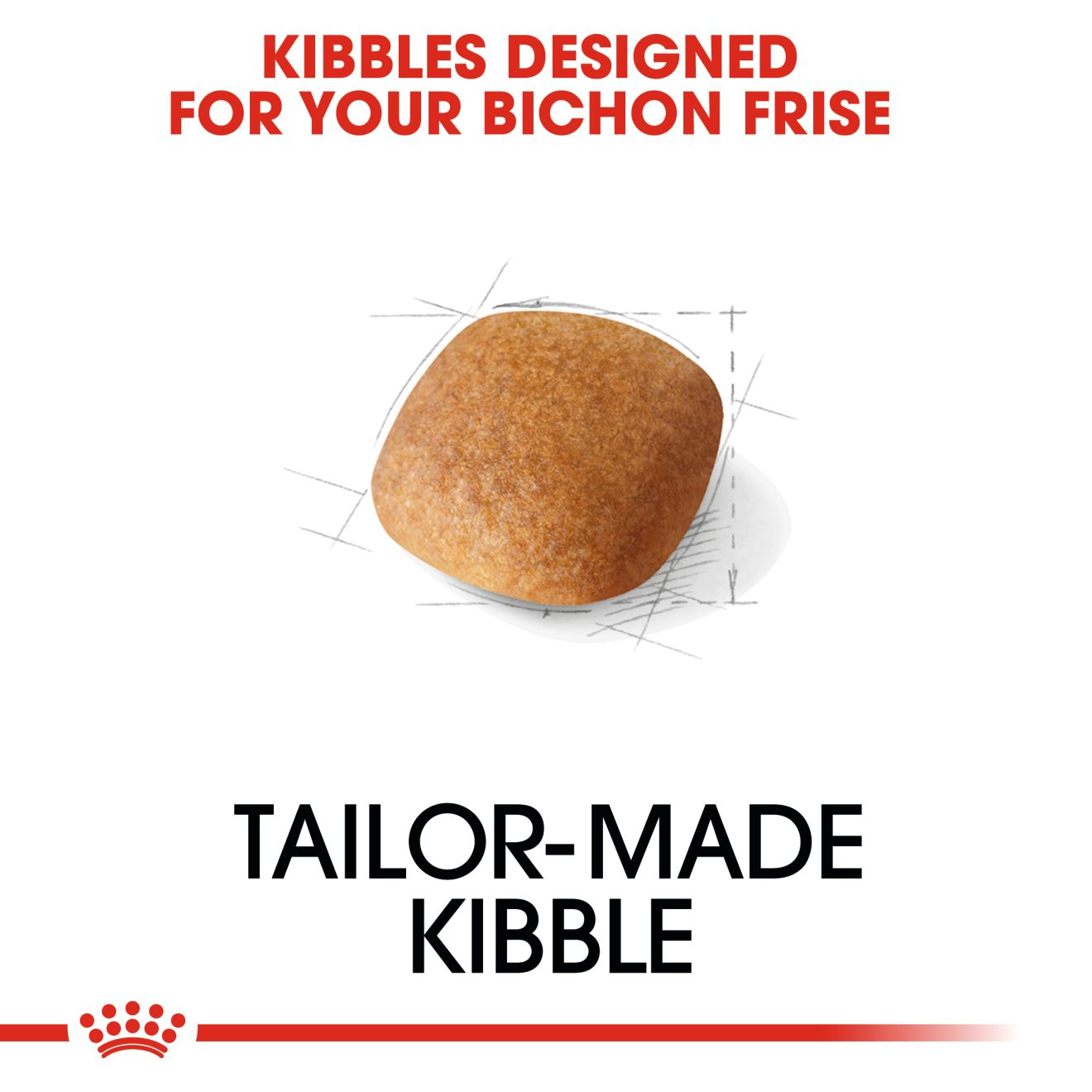 royal canin bichon frise puppy