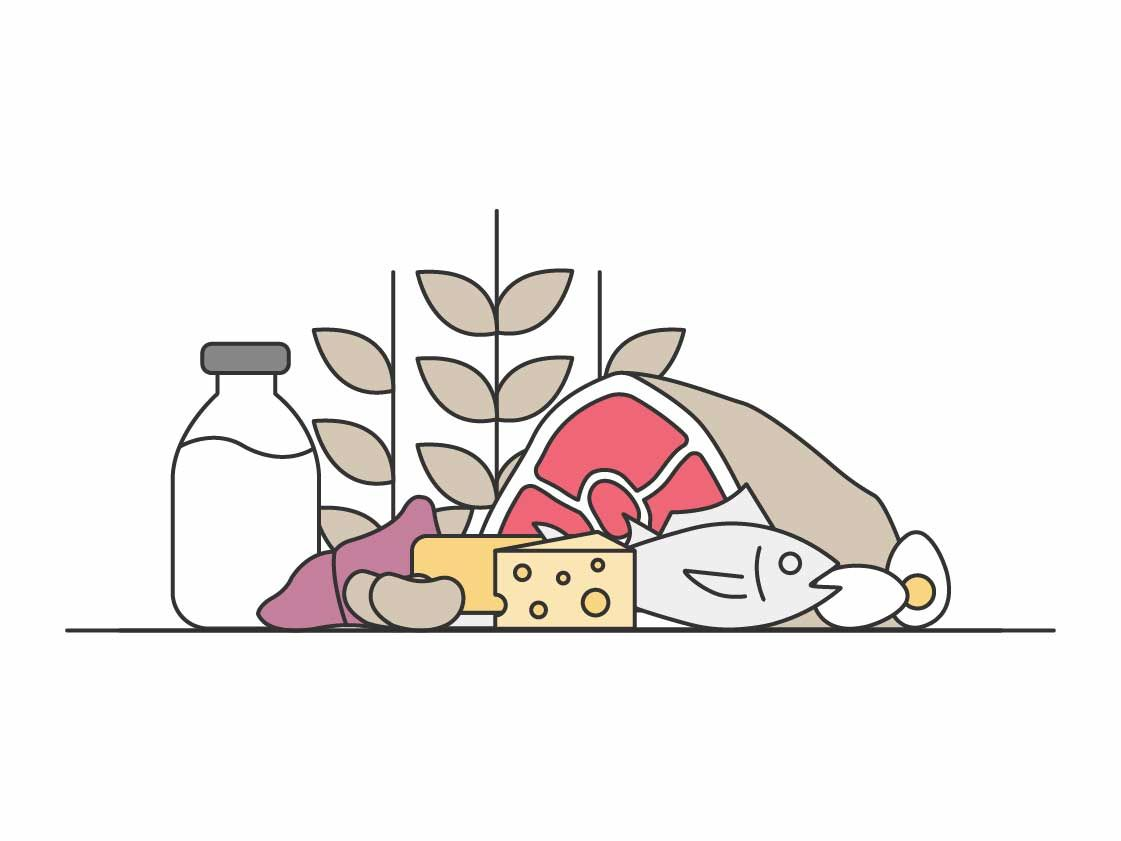 Illustration of food - Royal Canin