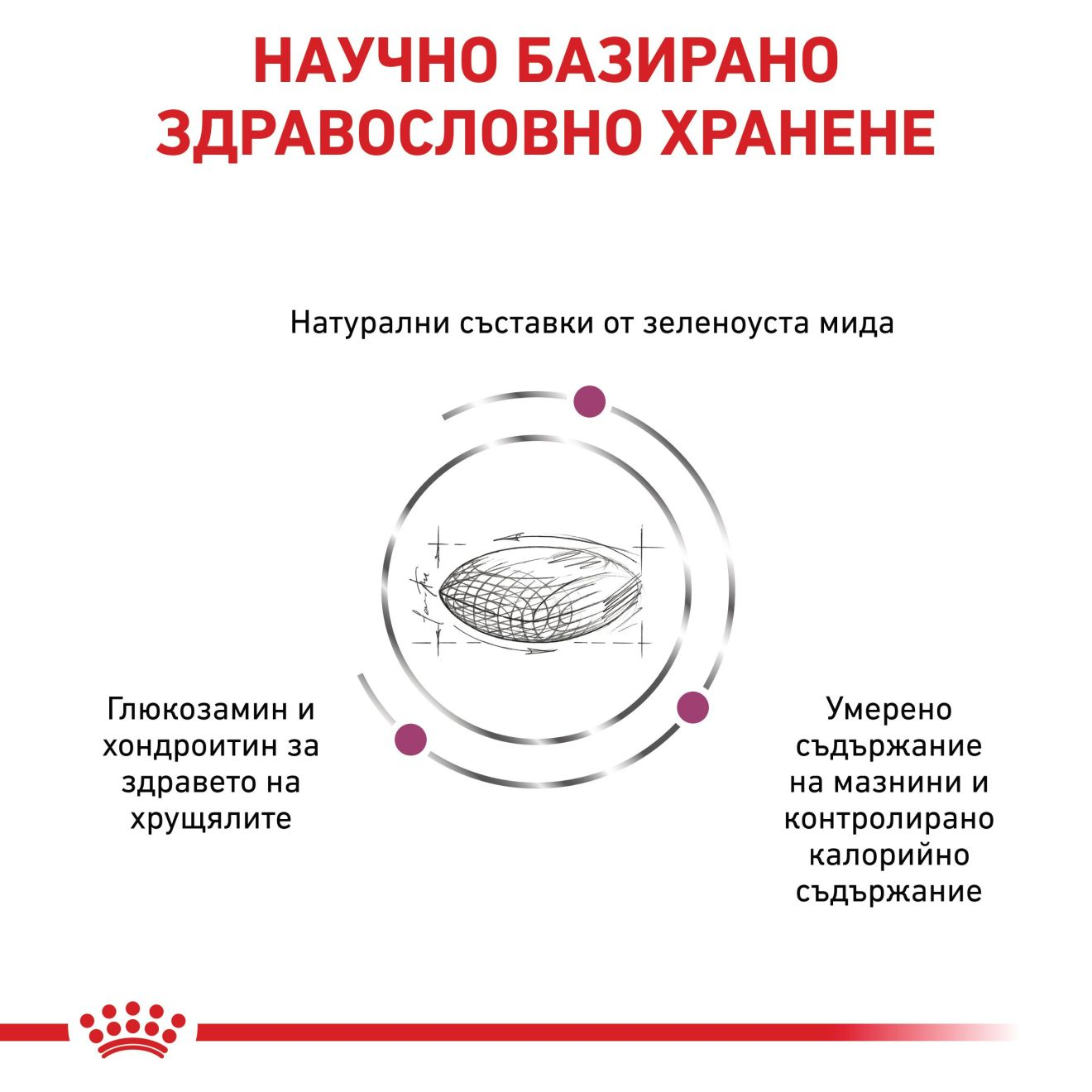 MOBILITY SUPPORT
