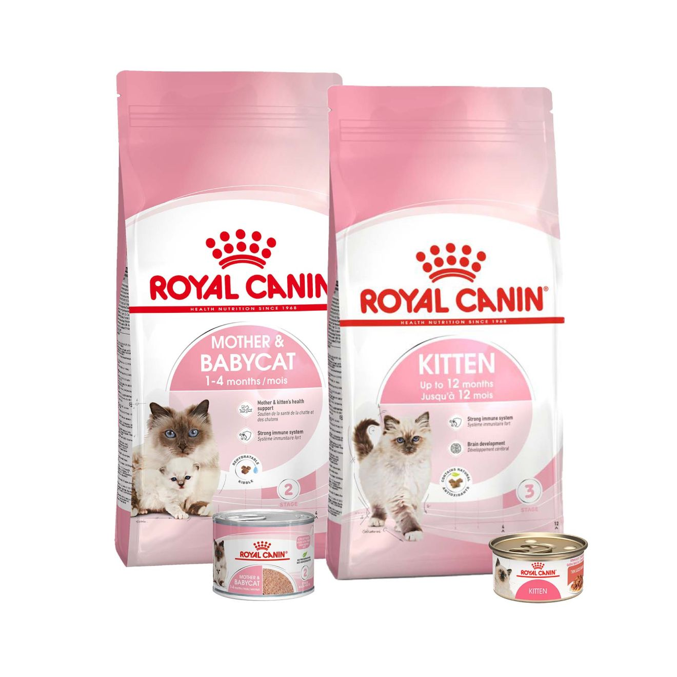 Royal Canin alimento para gatitos