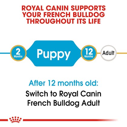 BHN-PuppyFrenchBulldog-CV-EretailKit-1