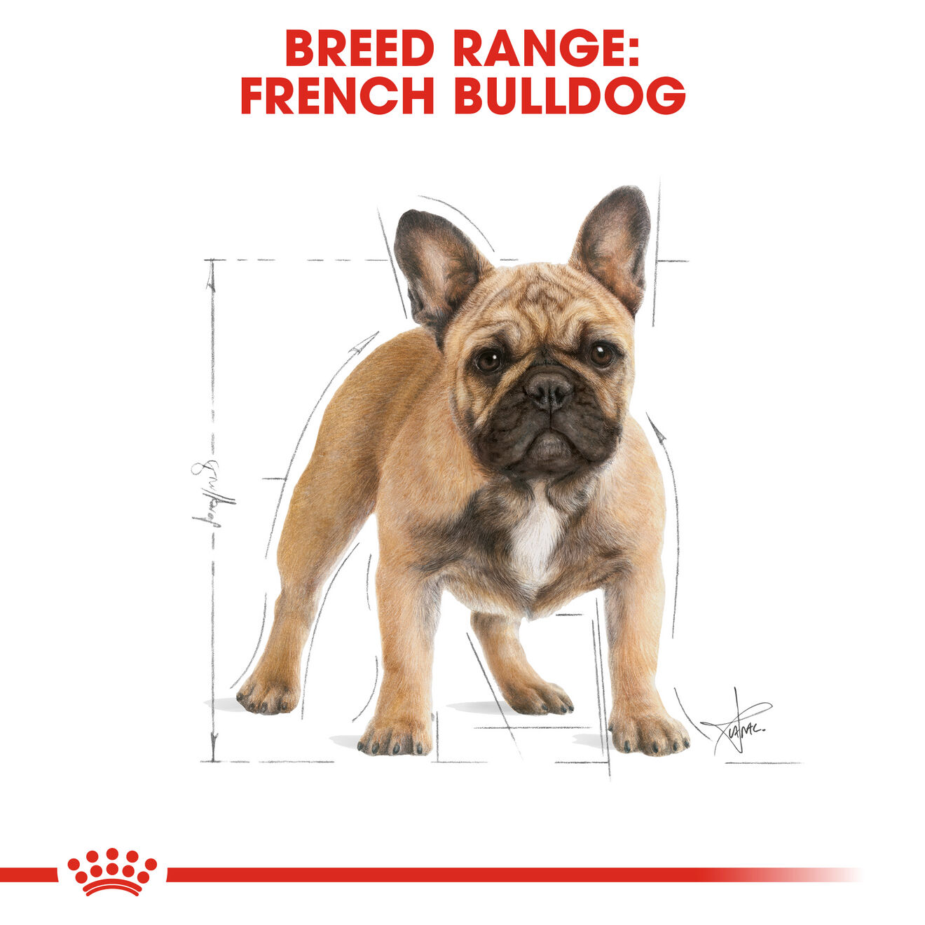 อาหารสุนัขโต พันธุ์เฟรนช์ บูลด็อก ชนิดเม็ด (FRENCH BULLDOG ADULT)