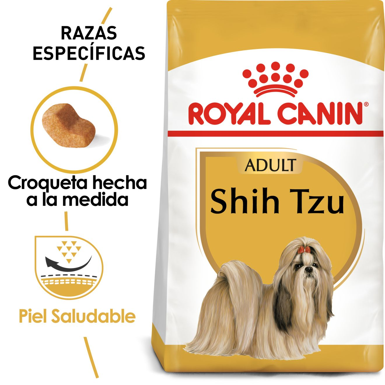 Shih-tzu Adulto