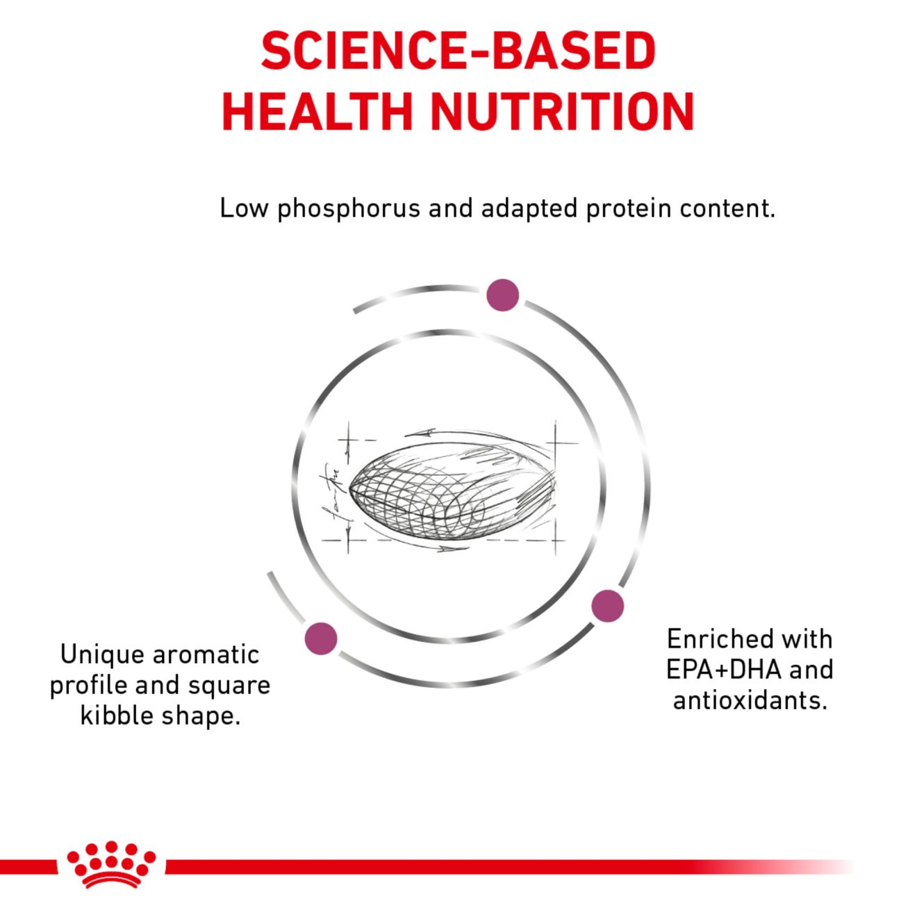 Royal canin store renal support s