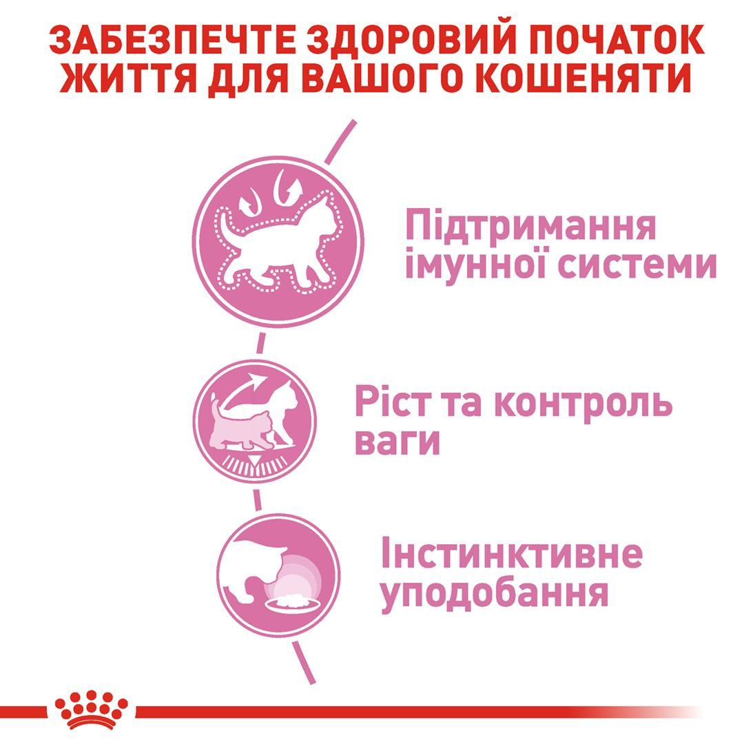 Kitten Sterilised Gravy