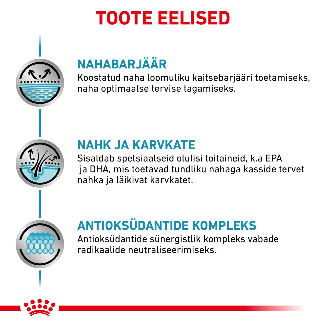 Royal Canin Skin & Coat Cat konserv (õhukesed viilud kastmes)