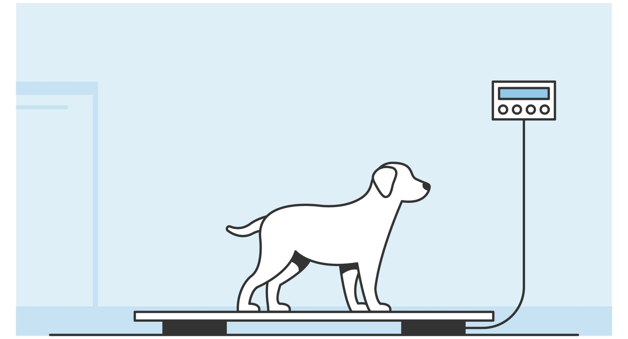 Illustration of a dog body condition assessment