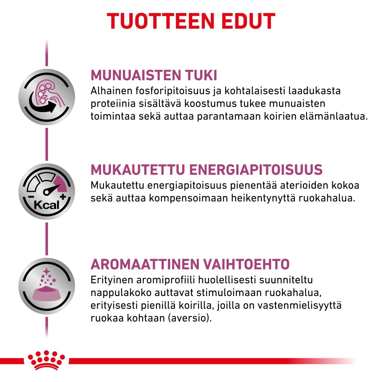 Vital Renal Small Dog
