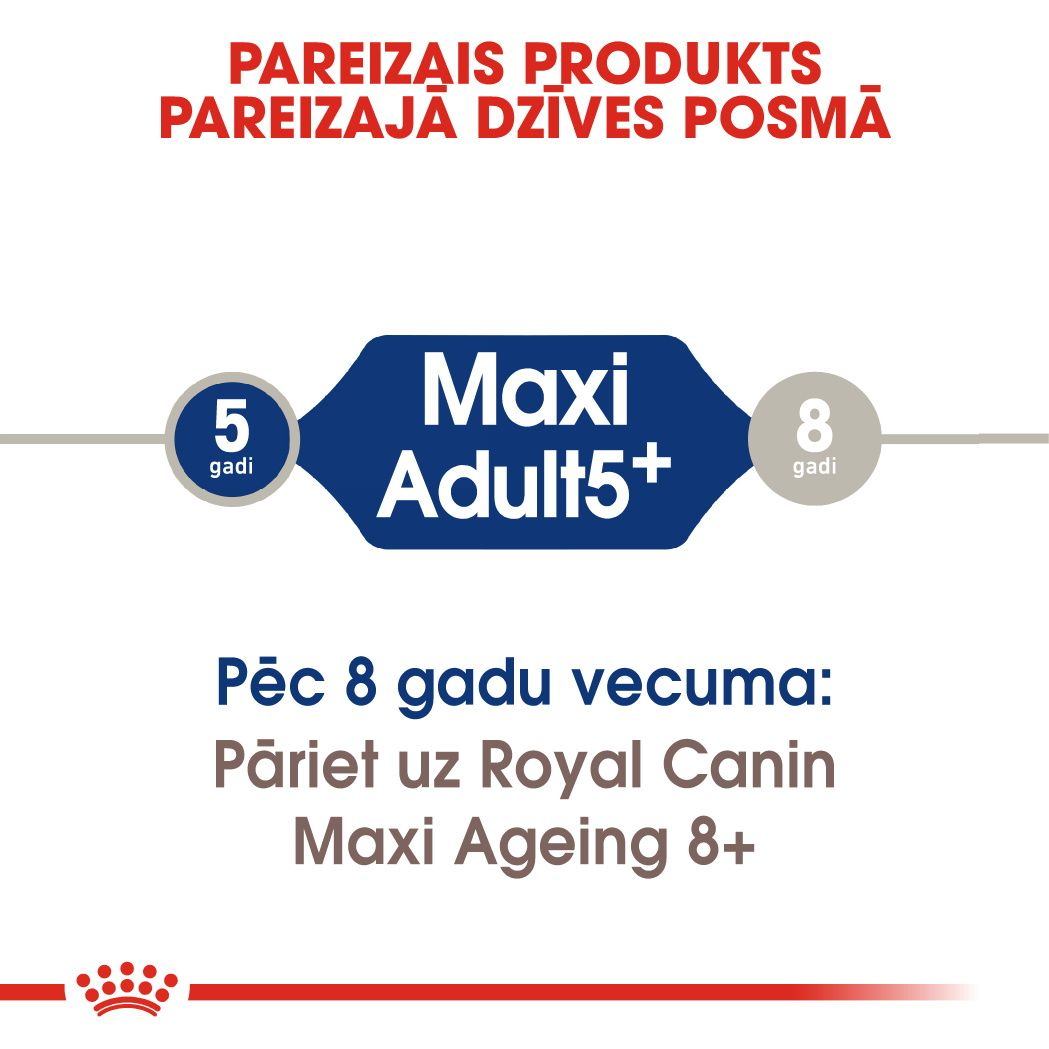 Maxi Adult 5+