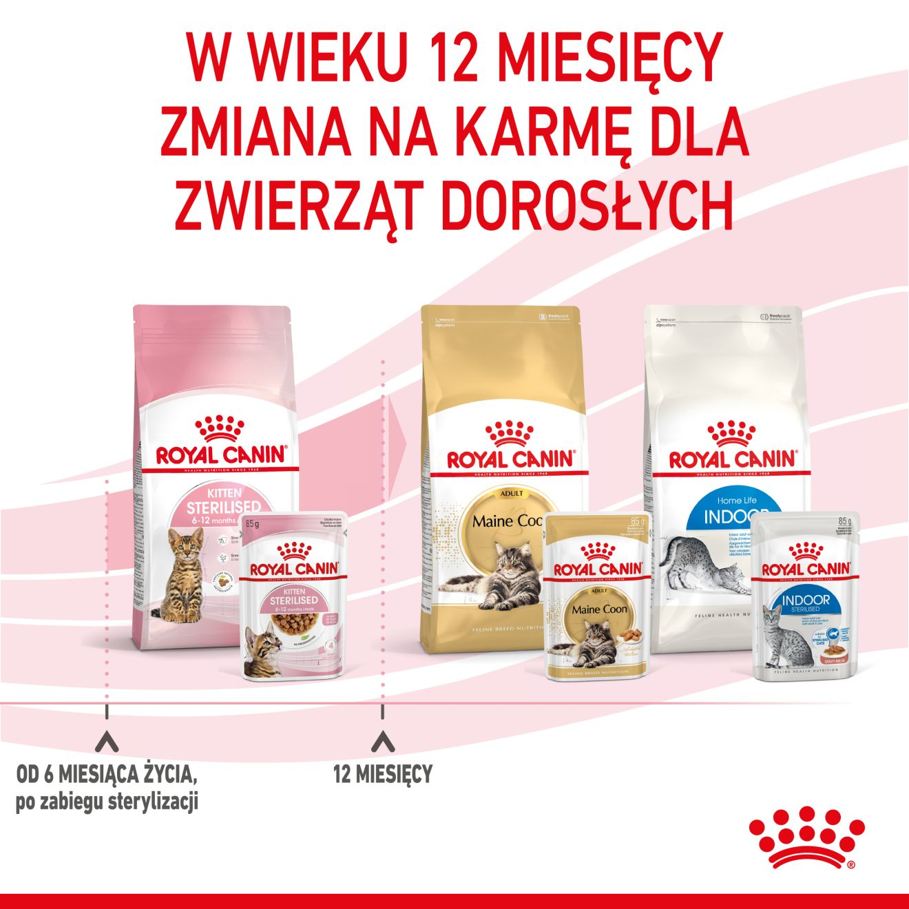 ROYAL CANIN Kitten Sterilised karma mokra w sosie dla kociąt do 12 miesiąca życia, sterylizowanych
