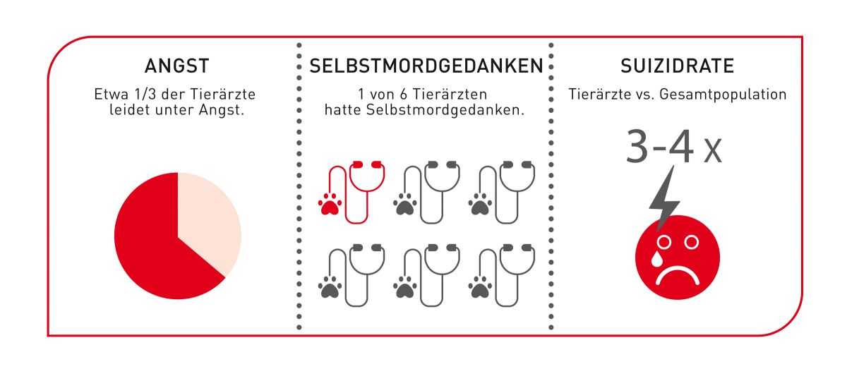 Mitgefühlserschöpfung kann bei Tierärzten zu erheblichem Druck beitragen und ist ein wichtiger Aspekt in einigen schockierenden Statistiken über unseren Berufsstand.