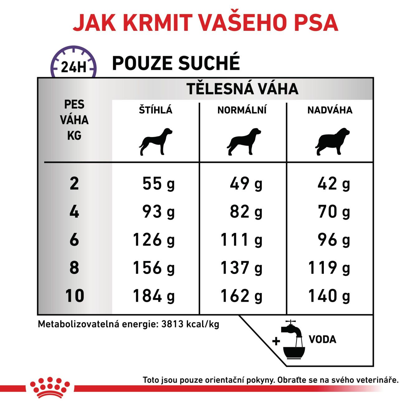 VHN Dental small dog