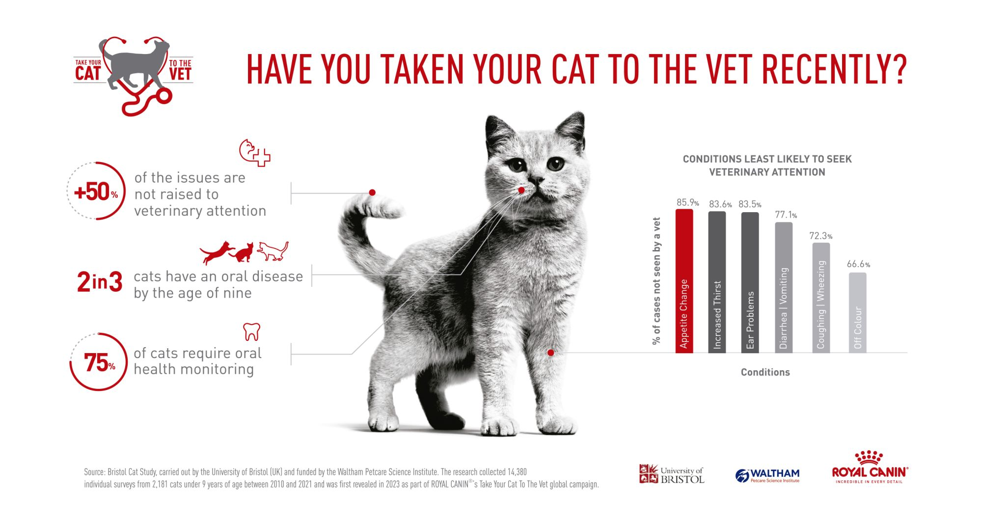 Infographic_2023 Bristol Cat Study