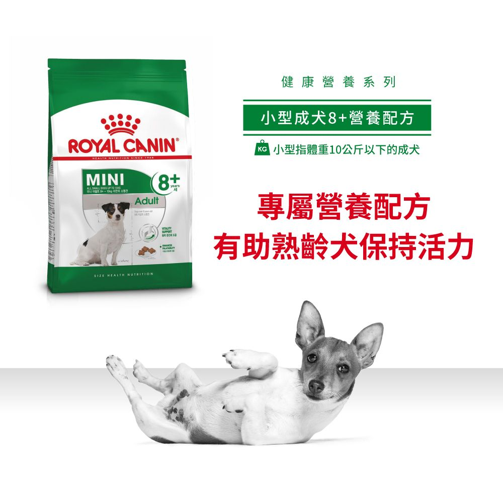 SHN 小型成犬8+營養配方