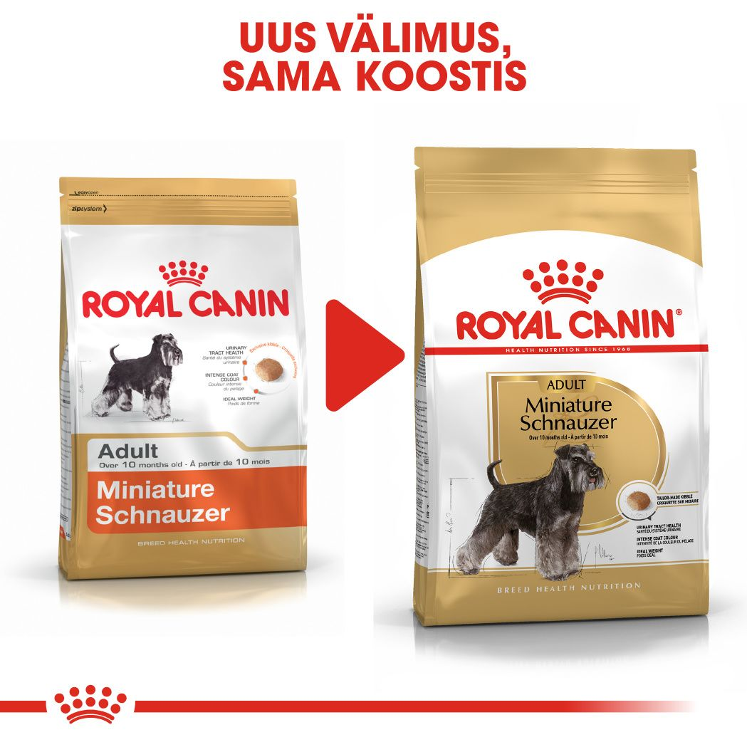 Royal Canin Miniature Schnauzer Adult kuivtoit