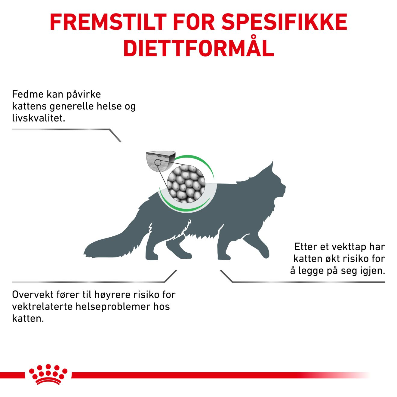 Weight Management Satiety 