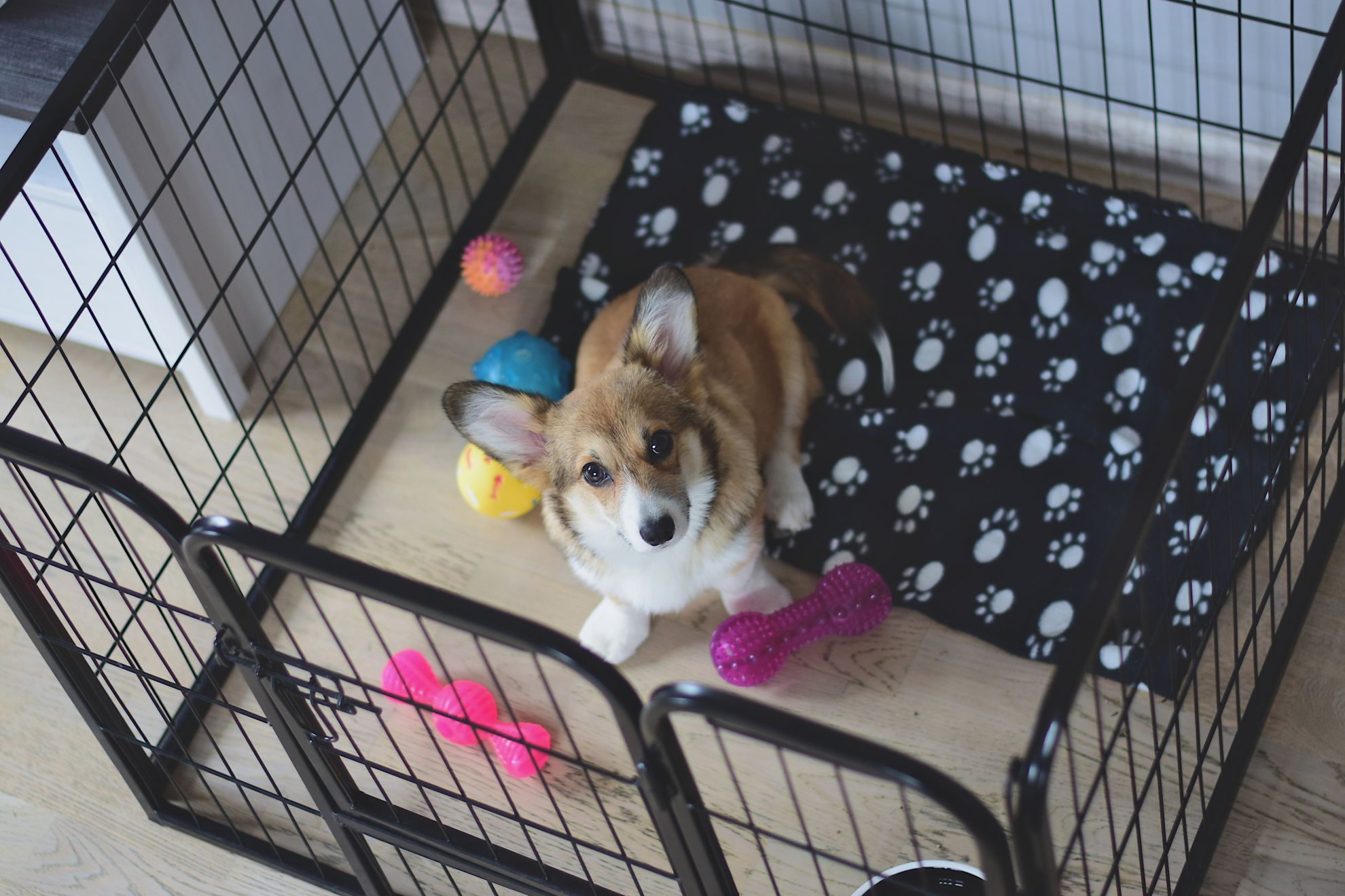 How long should clearance you crate a puppy