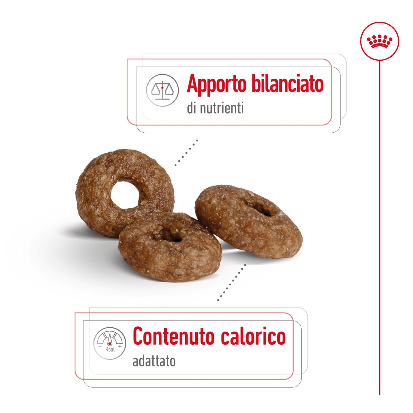 Mini Ageing 12+