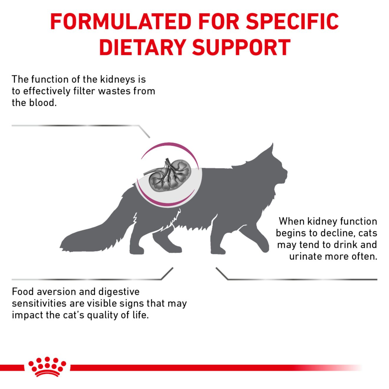 Royal canin renal store support cat food