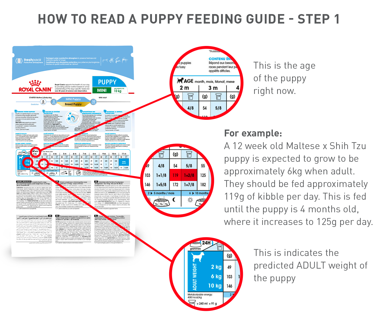 Feeding Chart & Calories Guide for Feeding Your Dog