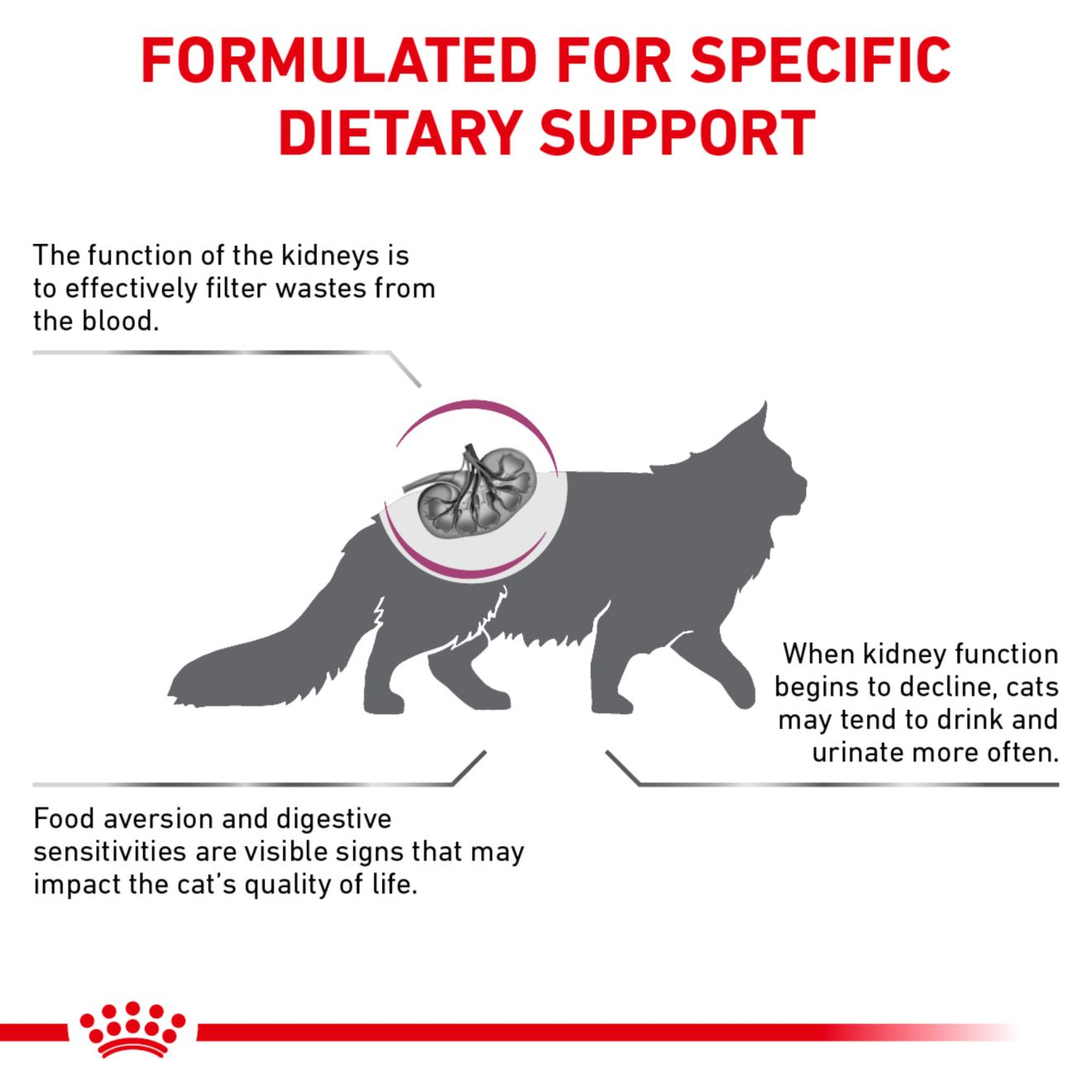 Feline Renal Support A