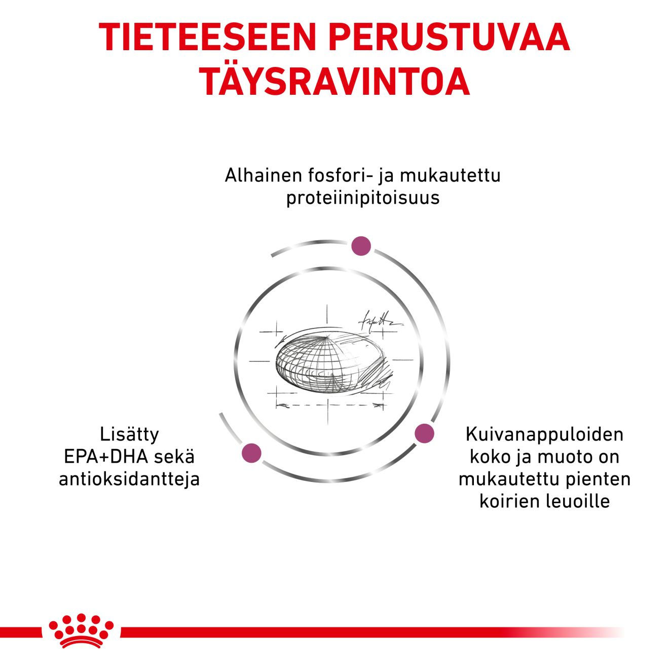 Vital Renal Small Dog