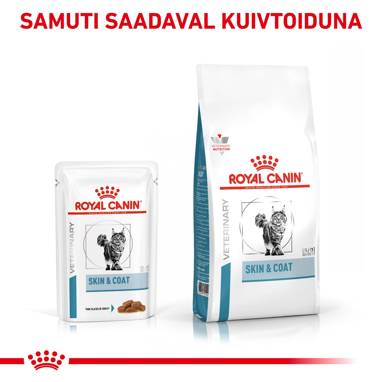 Royal Canin Skin & Coat Cat konserv (õhukesed viilud kastmes)