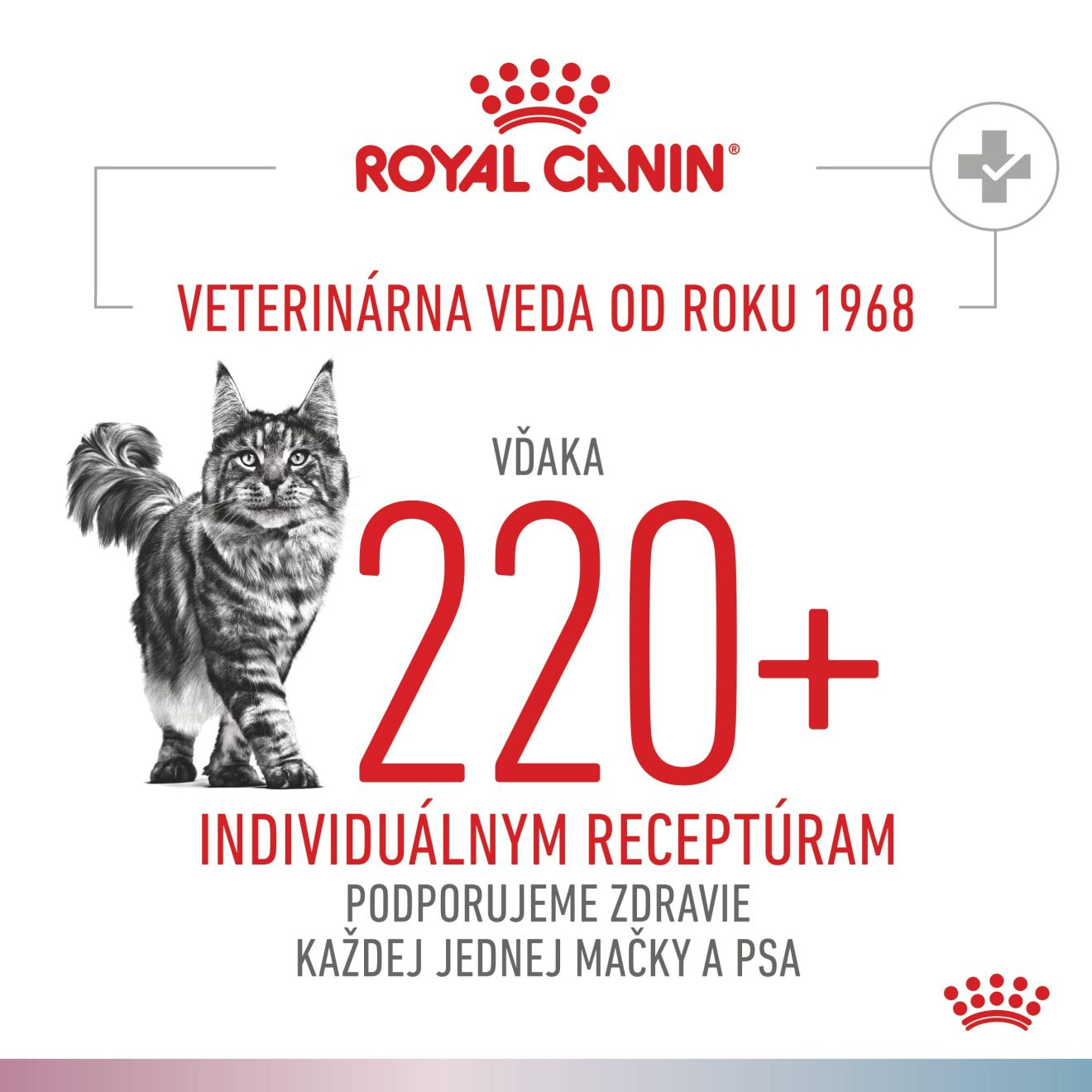 VHN Cat CA Renal-Hypoallergenic