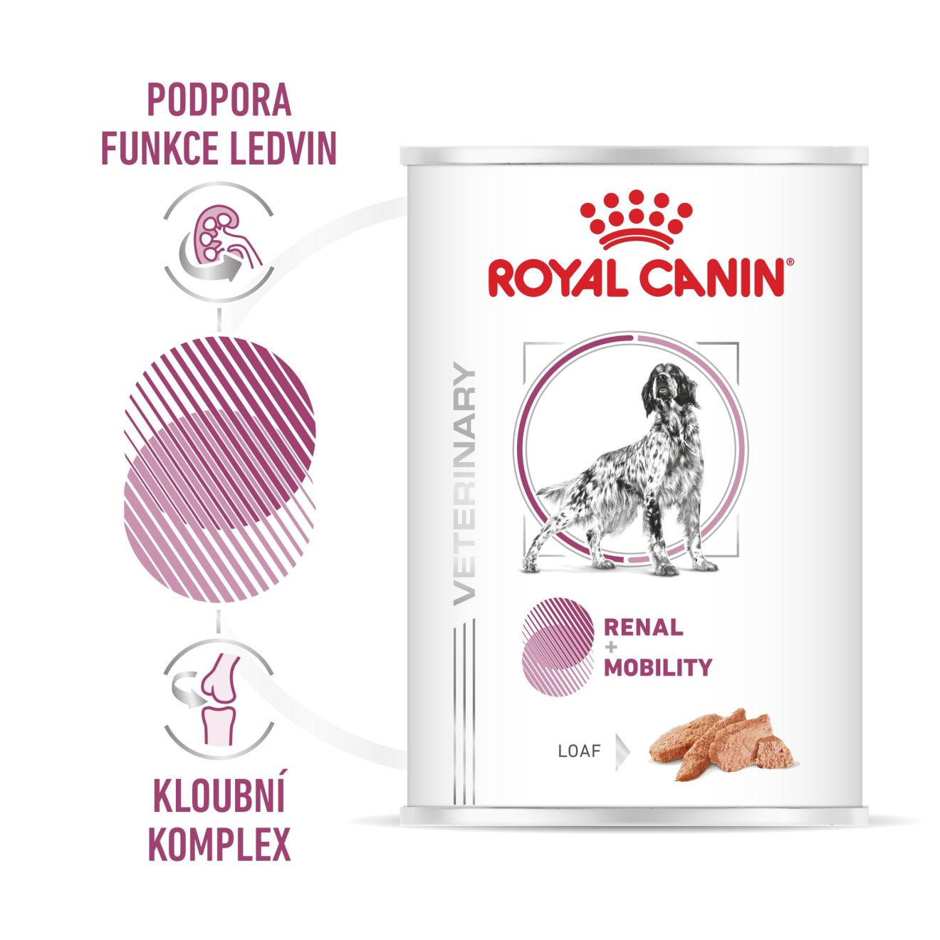 VHN Dog CA Renal - Mobility Loaf Konzerva