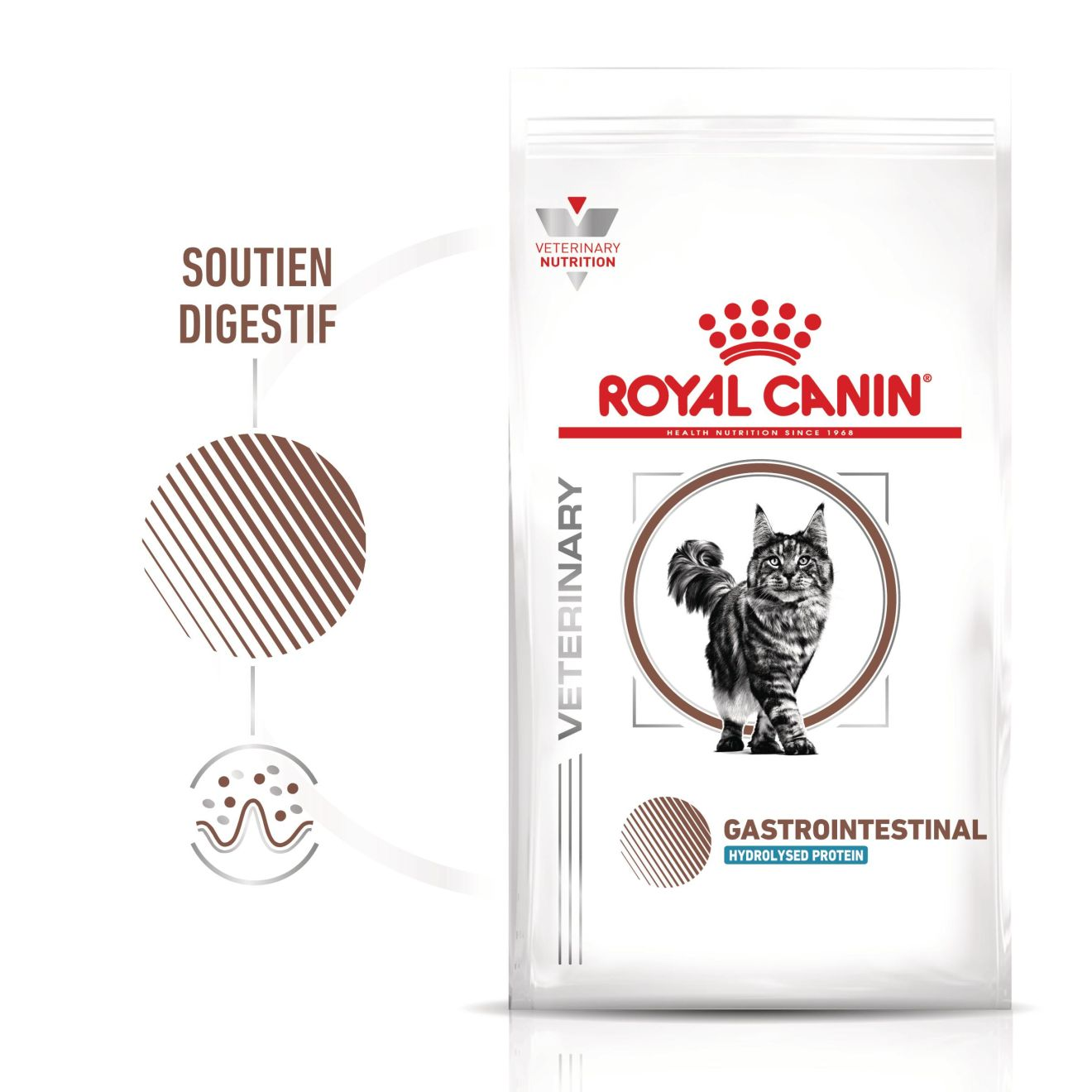 Gastrointestinal + Hydrolysed Protein Chat 