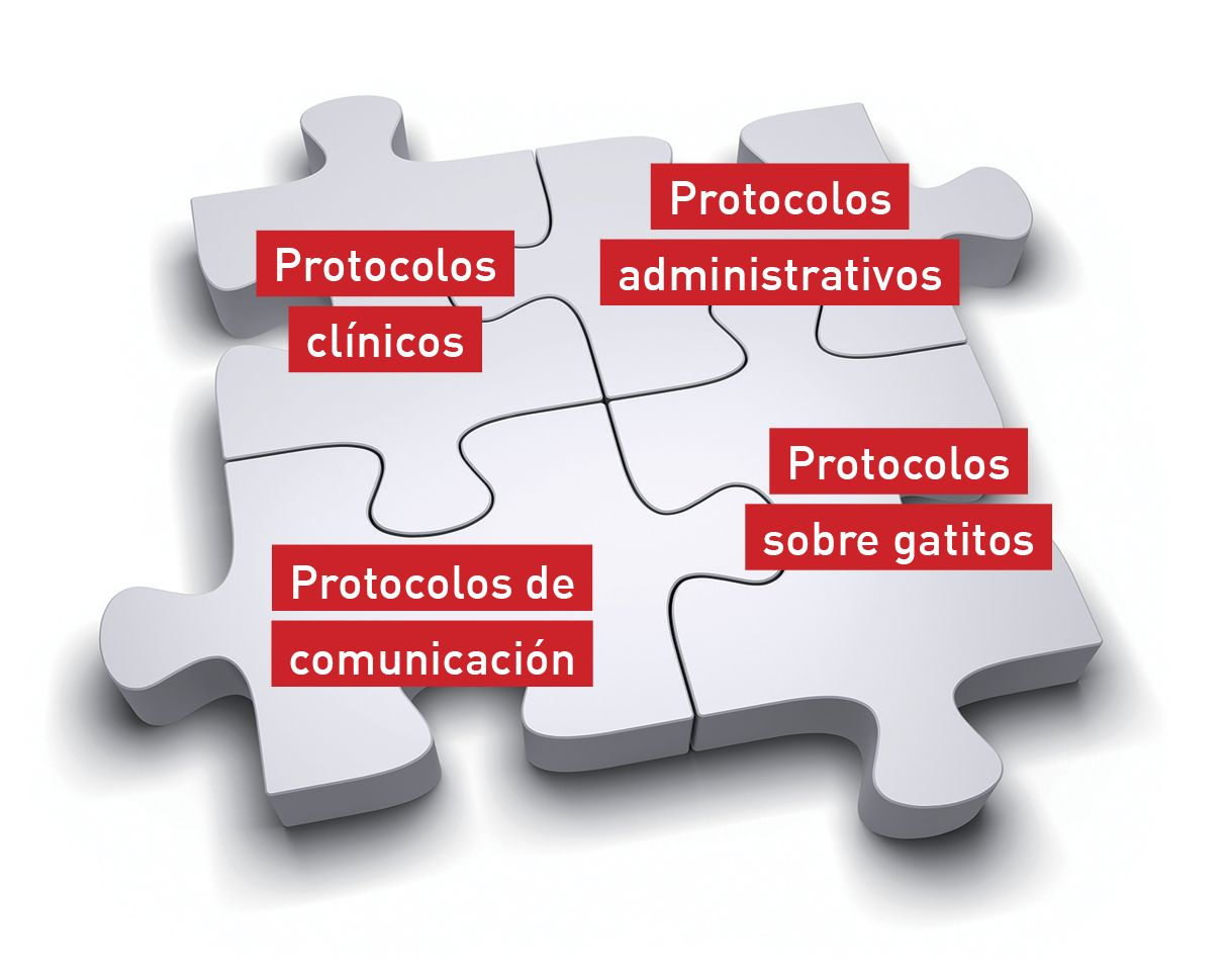 Los protocolos de la clínica veterinaria son como piezas de un rompecabezas