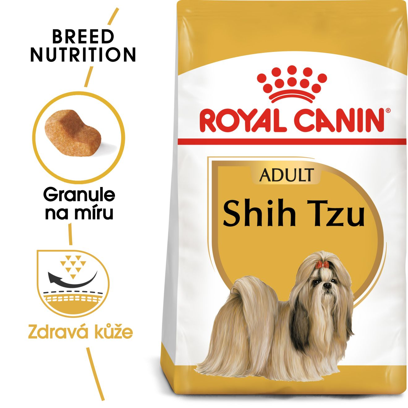 SHIH TZU Adult