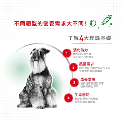 MNA+8_小型成犬8+營養配方_正方形_HK_02