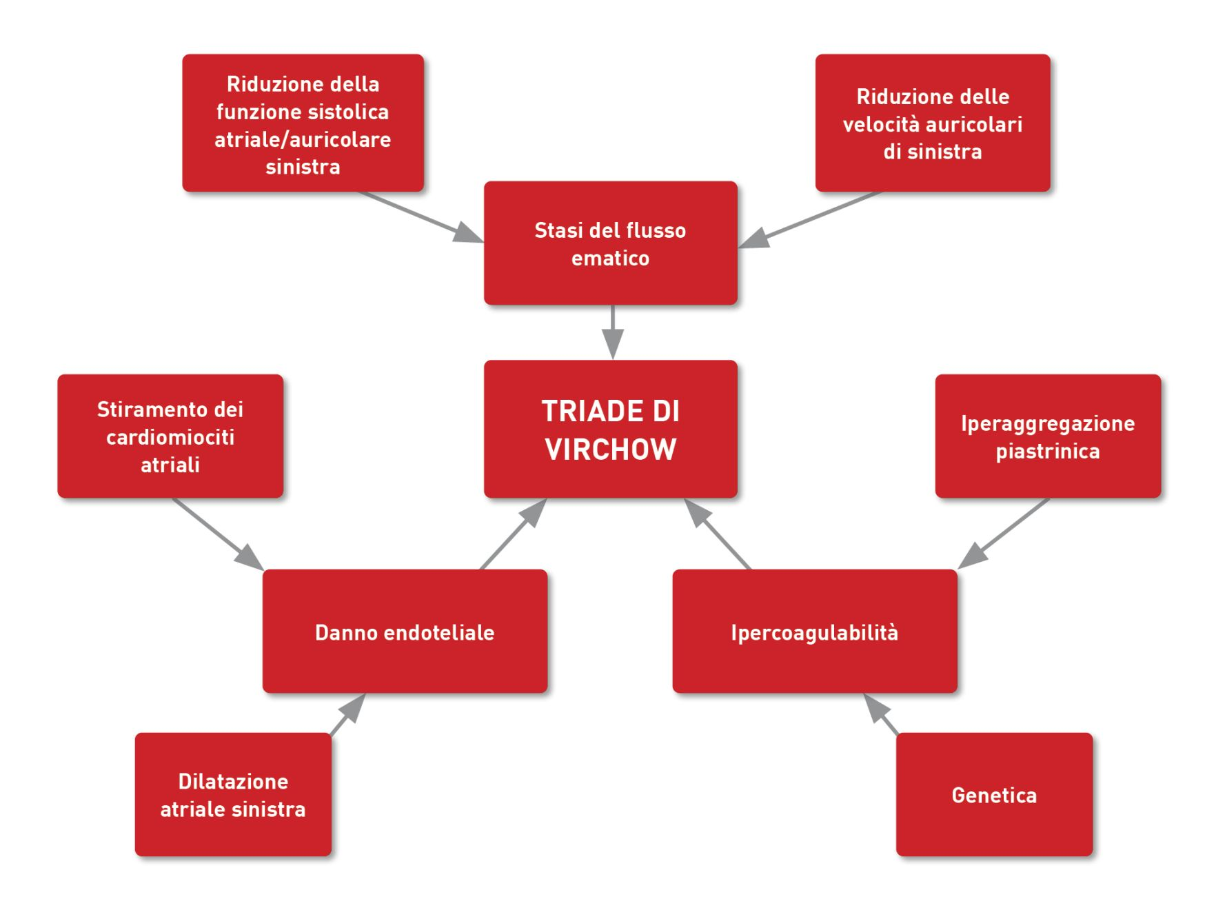 Fattori che influenzano la triade di Virchow della trombosi