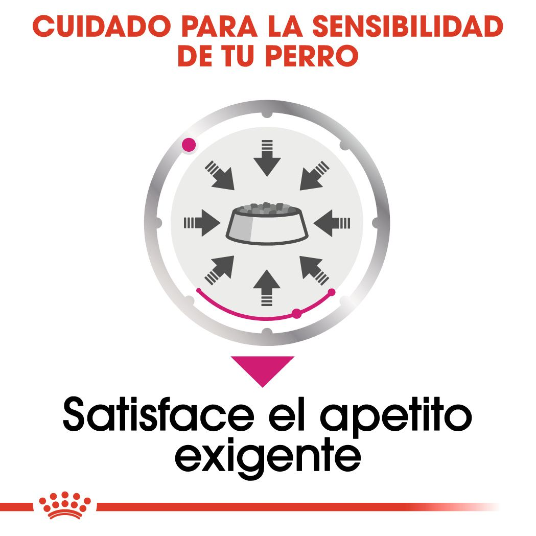 Exigent