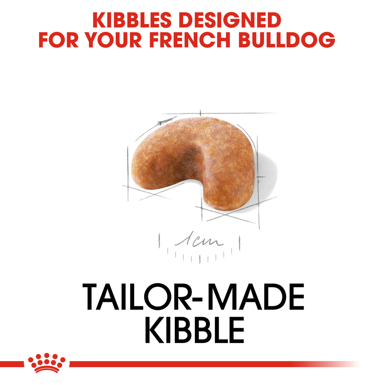 French Bulldog Puppy Royal Canin AE