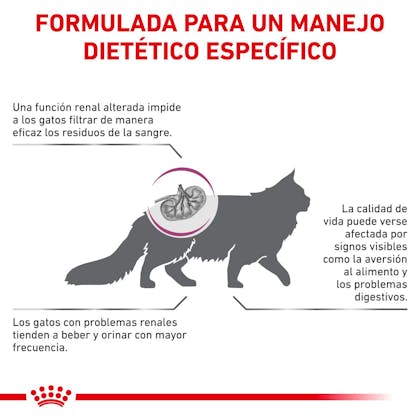 BENEFICIOS