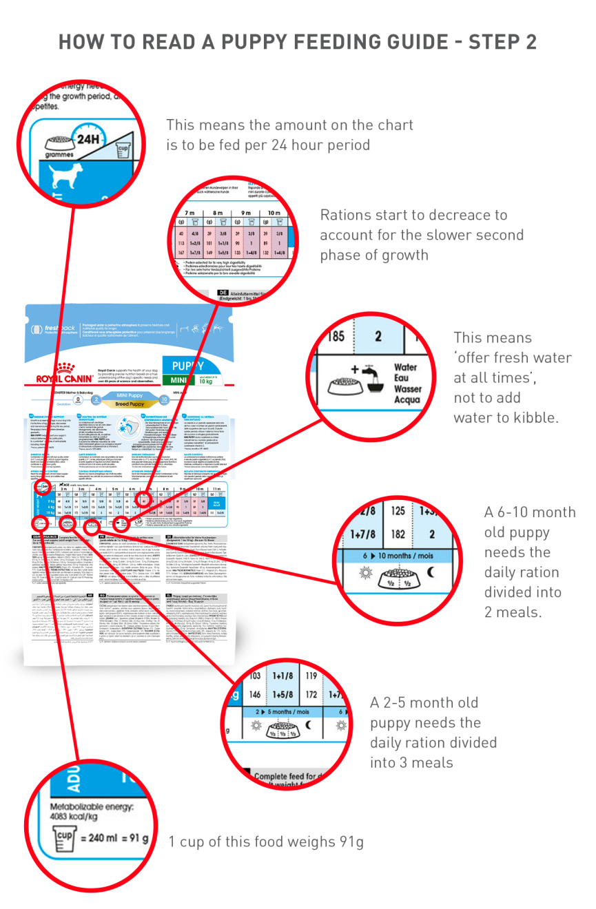 Royal canin shop feeding chart