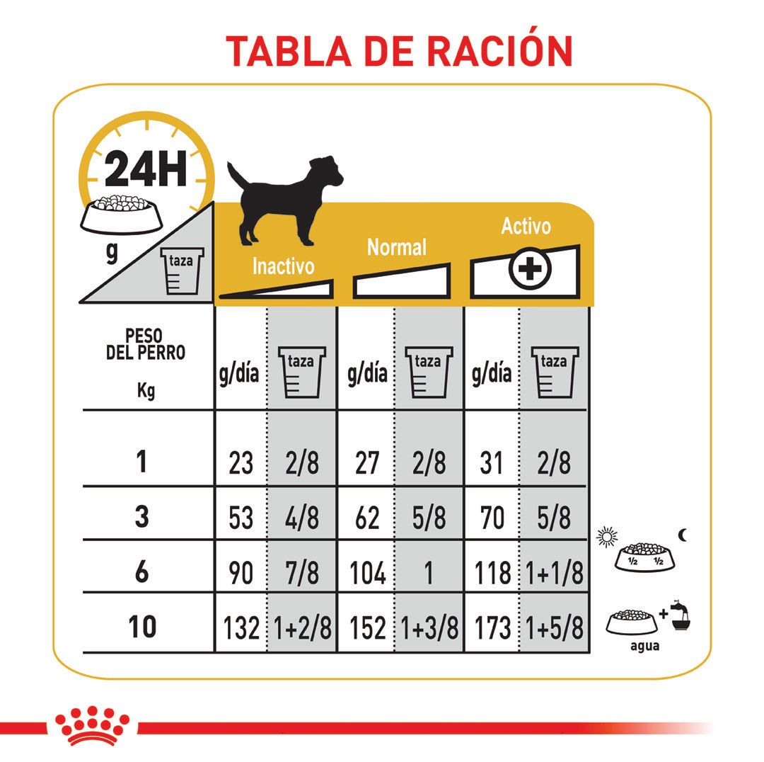 Mini Dermacomfort | Royal Canin CO